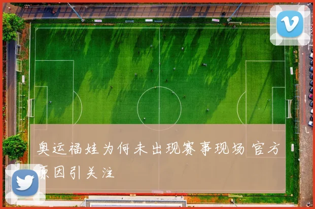 奥运福娃为何未出现赛事现场 官方原因引关注