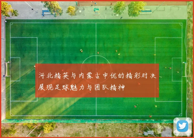 河北精英与内蒙古中优的精彩对决展现足球魅力与团队精神